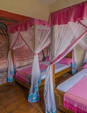 Olive Resort Naivasha