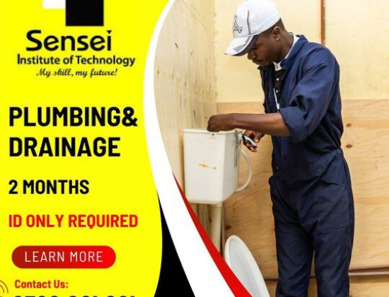 Sensei Institute of Technology Nakuru