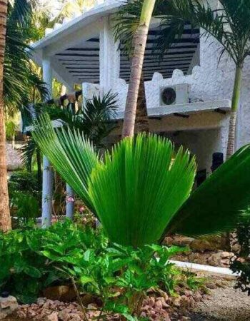 Scorpio Villas Malindi