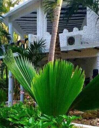 Scorpio Villas Malindi