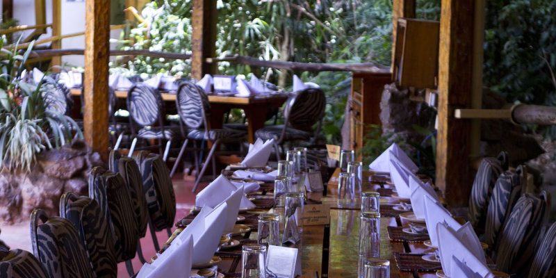 Carnivore Kenya – SIMBA by CARNIVORE