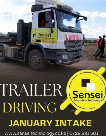 Sensei Institute of Technology Kitengela
