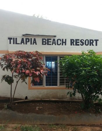 Tilapia beach