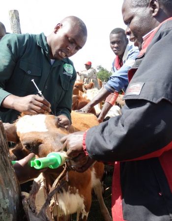 Kenya Dairy Farmers Federation