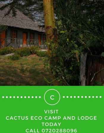 Cactus Eco Camp & Lodge