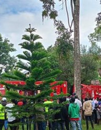 Coca Cola Equator Bottlers Ltd Kisumu