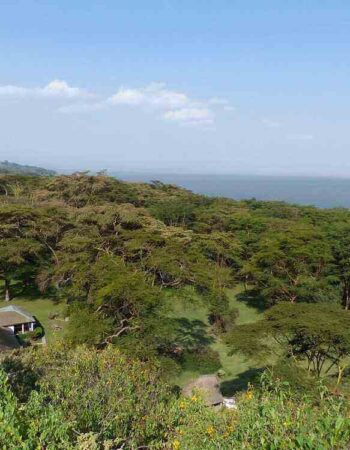 Bilashaka Lodge Naivasha