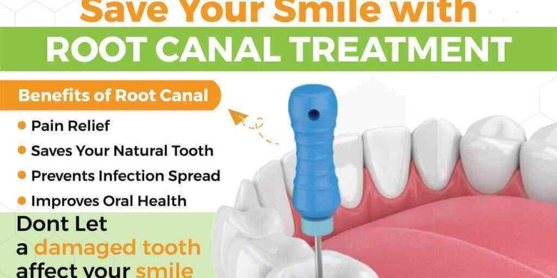 Elephant Dental Services – Meru