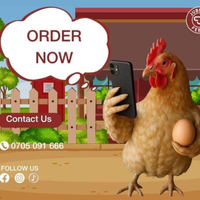 Jubilee Feed Industries Ltd Thika