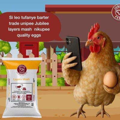 Jubilee Feed Industries Ltd Thika