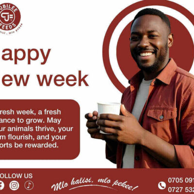 Jubilee Feed Industries Ltd Thika