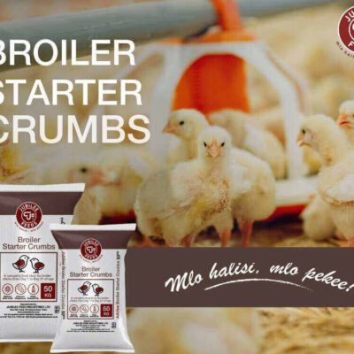 Jubilee Feed Industries Ltd Thika