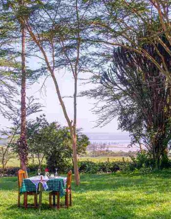 Lake Nakuru Lodge