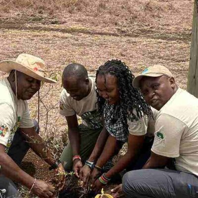Ngare Ndare Forest Trust Meru