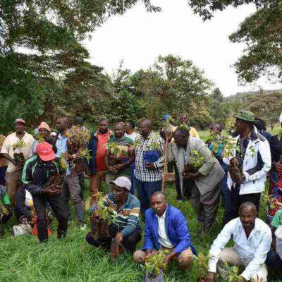 Ngare Ndare Forest Trust Meru
