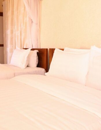 Prinias Hotel Kisumu