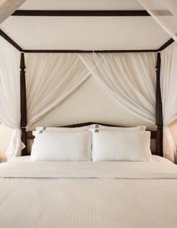 Safari Park Hotel & Casino