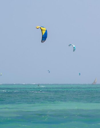 The Zubeida Diani