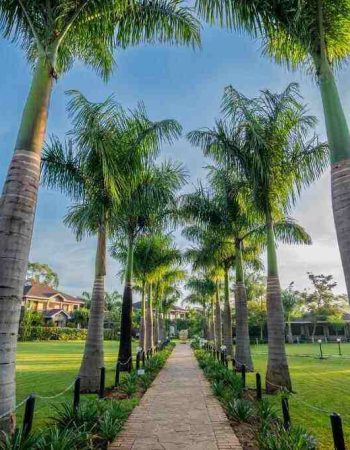 Ciala Resort