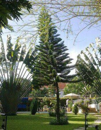 Cold Springs Karen Boutique Hotel