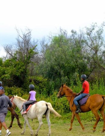 Great Rift Valley Lodge and Golf Resort Naivasha