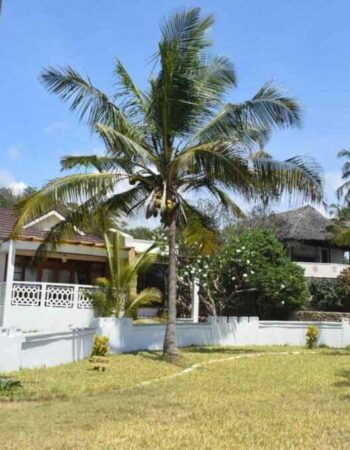 Hillpark Tiwi Beach Hotel and Amare Resort