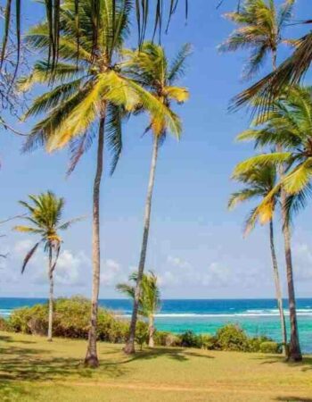Hillpark Tiwi Beach Hotel and Amare Resort