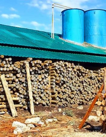 Meru wood industries