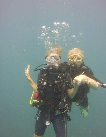 Baracuda Diving