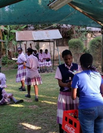Brigida Morello Girls’ Secondary School (B.M.G)