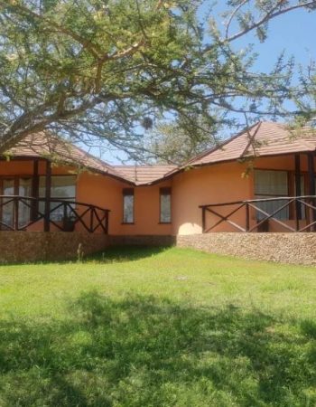 Amazing Kenya Retreat Lodge