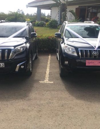 Nakuru Car Hire Services – The African Diwani