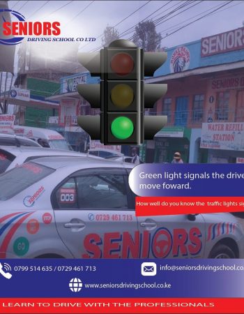 Seniors Driving School – Roysambu