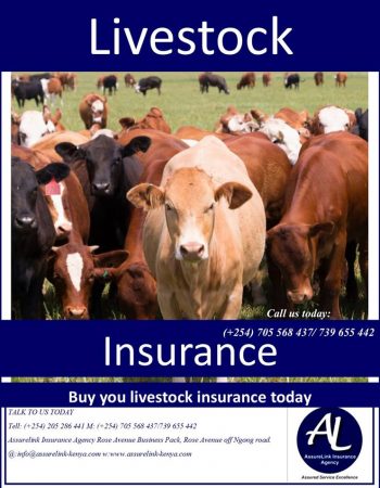 Assurelink Insurance Brokers Ltd.