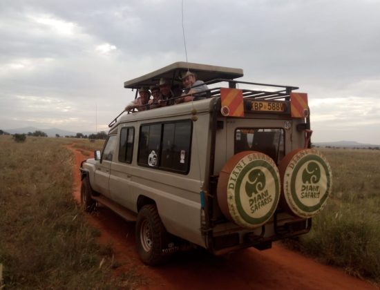 Diani Tours and Safaris