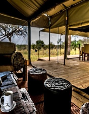 Jambo Travelhouse Safaris