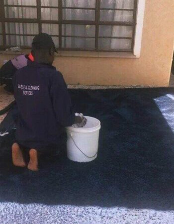 Blissful Cleaning – Kenya