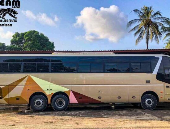 Dreamline Express LTD