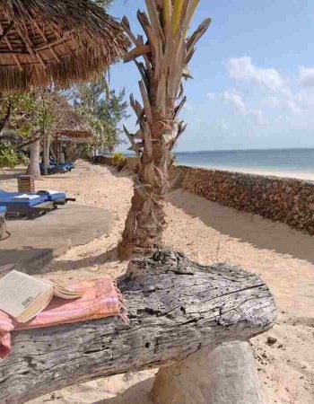 Driftwood Beach Club