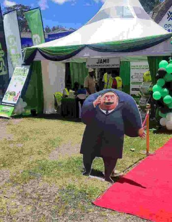 Jamii Telecommunications Limited (JTL)