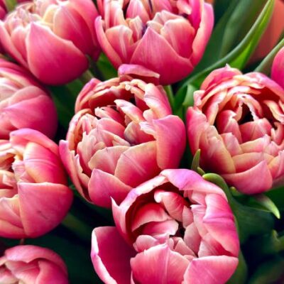 Nairobi Florist