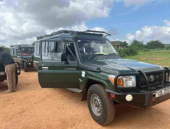 New Kenya Travel & Tours Safaris Ltd