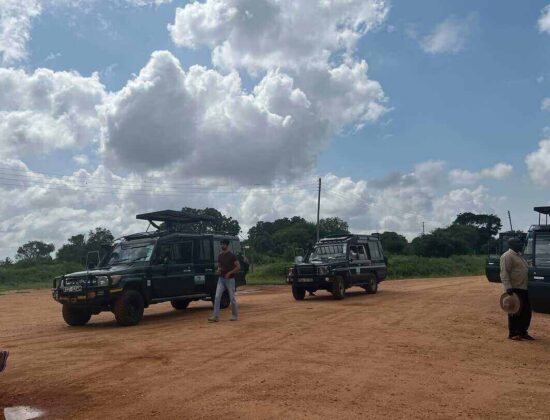 New Kenya Travel & Tours Safaris Ltd