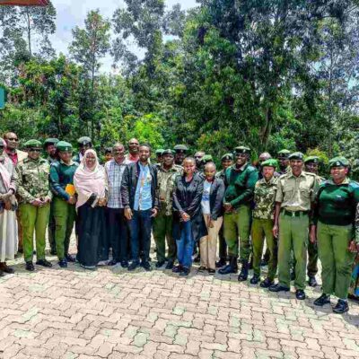 Psychiatric Disability Organisation of Kenya