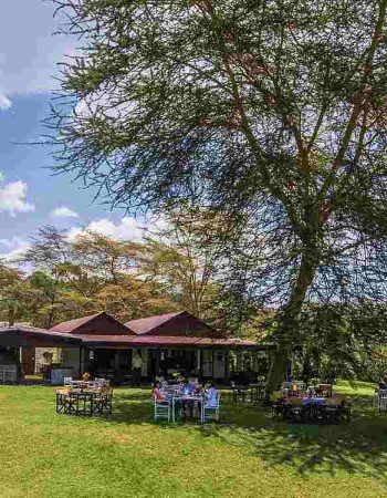 Ranch House Bistro Naivasha