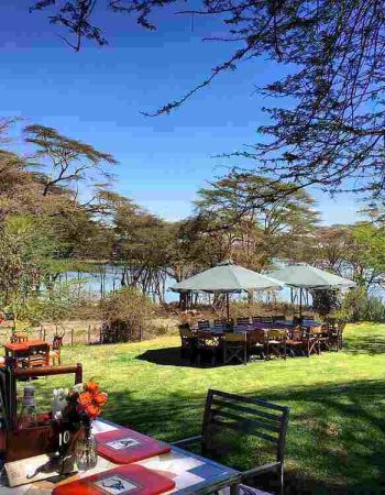 Ranch House Bistro Naivasha