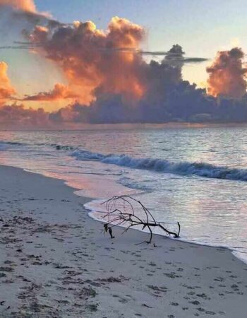 WATAMU LUXURY VILLAS