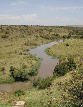 Amani Mara Camp Kenya