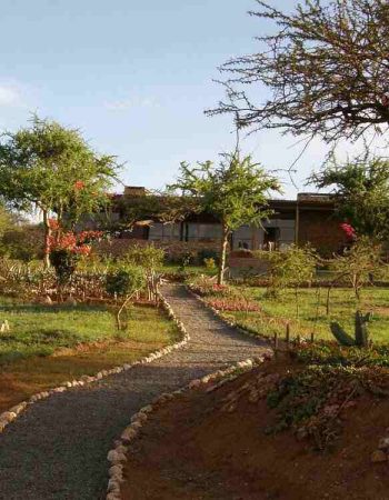 Amazing Kenya Retreat Lodge