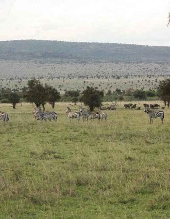Amazing Kenya Retreat Lodge